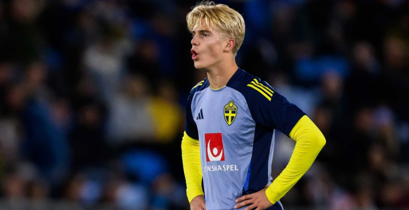 佩给予了高 佩给予了高