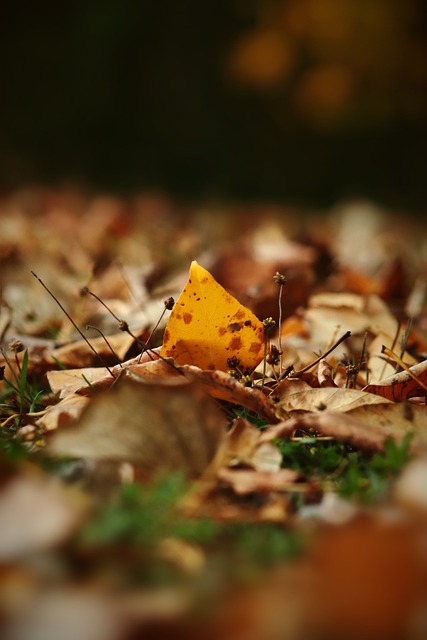 成为上半场 成为上半场