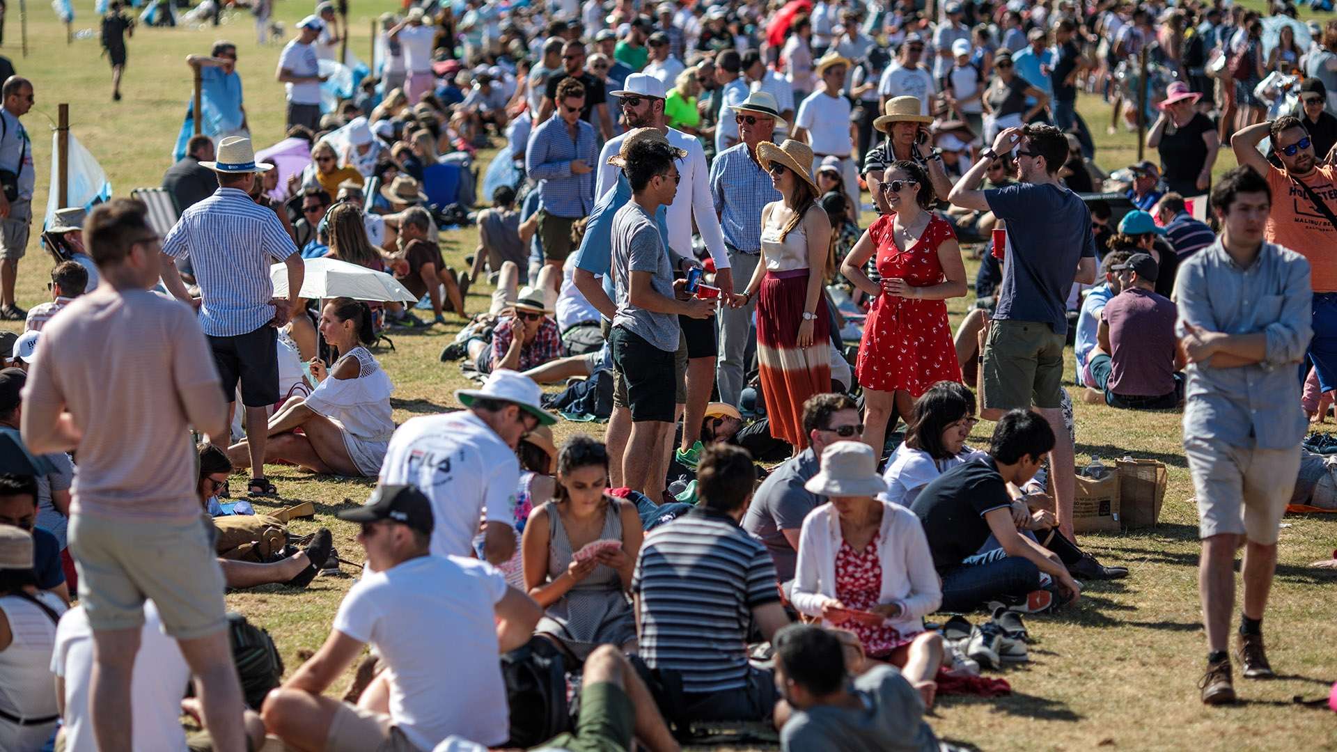 逐步形成了 逐步形成了